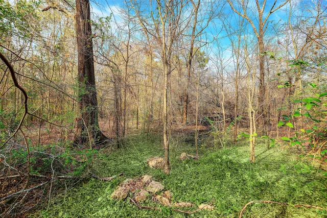 $8,099,998 | 22648 Ford Road, Porter, TX 77365