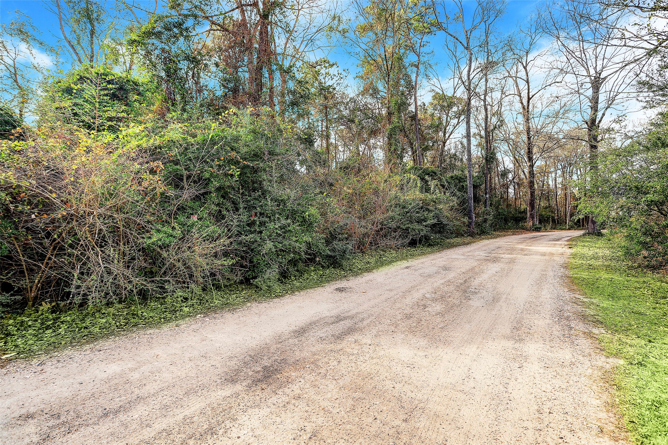 22648 Ford Road Porter, TX 77365 - Photo 7 of 8 View of Old Ford Rd on East Border or property