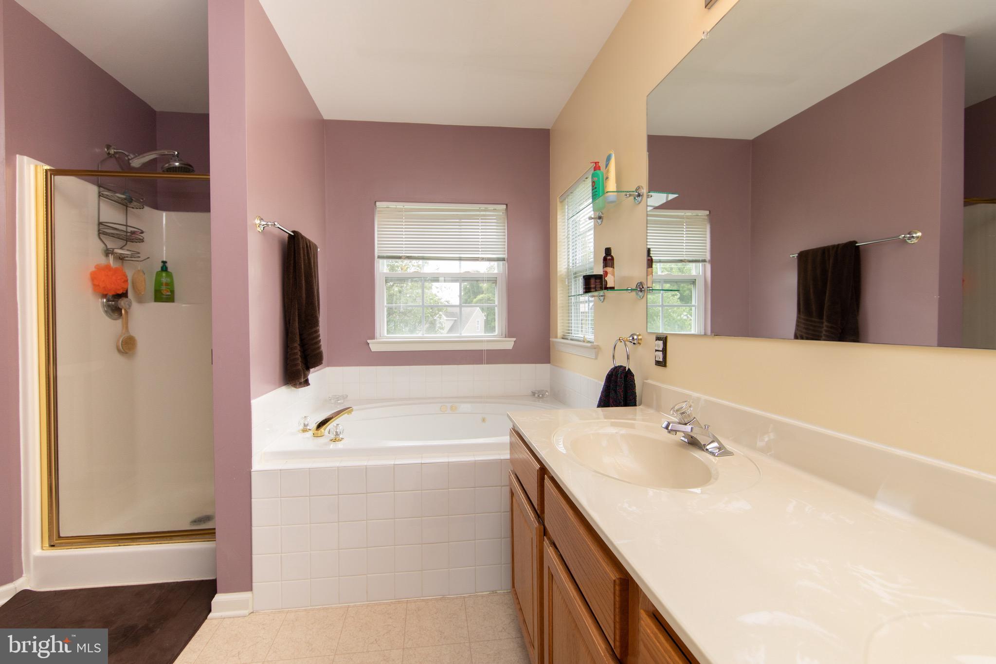 71 Sunset Drive Mount Royal, NJ 08061 - Photo 23 of 39 Primary Bathroom