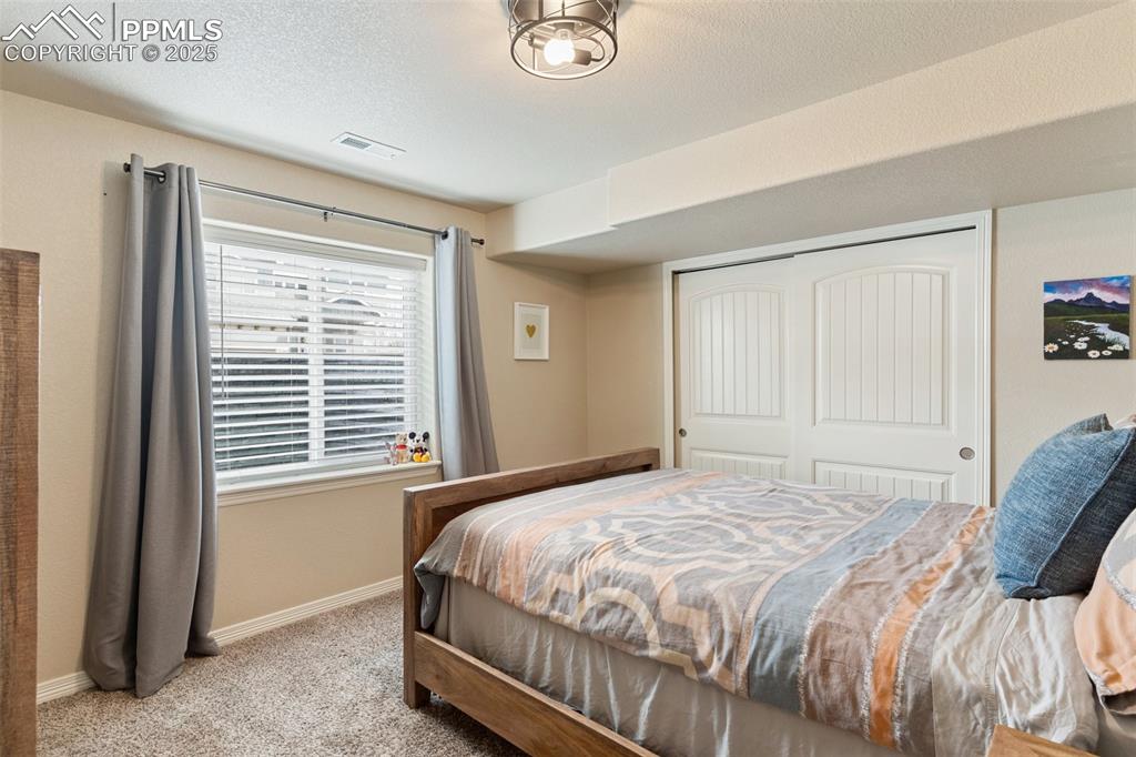 977 Salmon Pond Way Colorado Springs, CO 80921 - Photo 39 of 49 a bedroom with a bed and a window