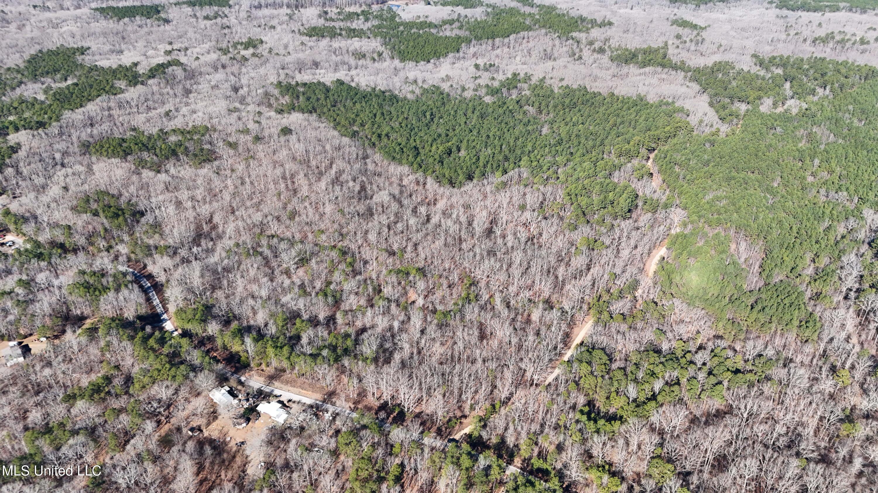0 Tall Pines Road Ashland, MS 38603 - Photo 9 of 14 Ashland_-2