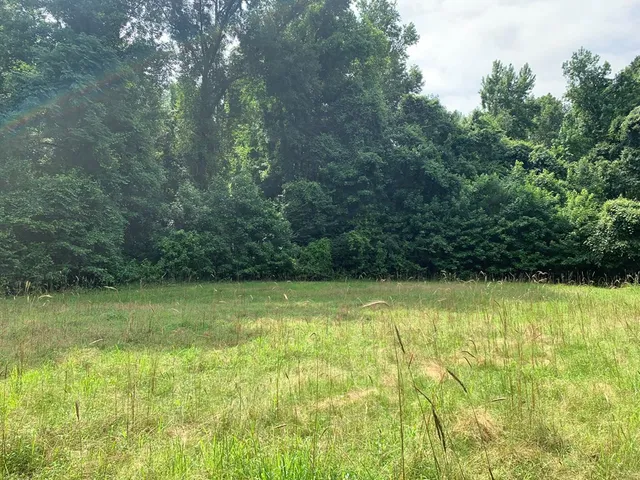 $3,098,269 | . Perry Town Road, Crosby, MS 39633