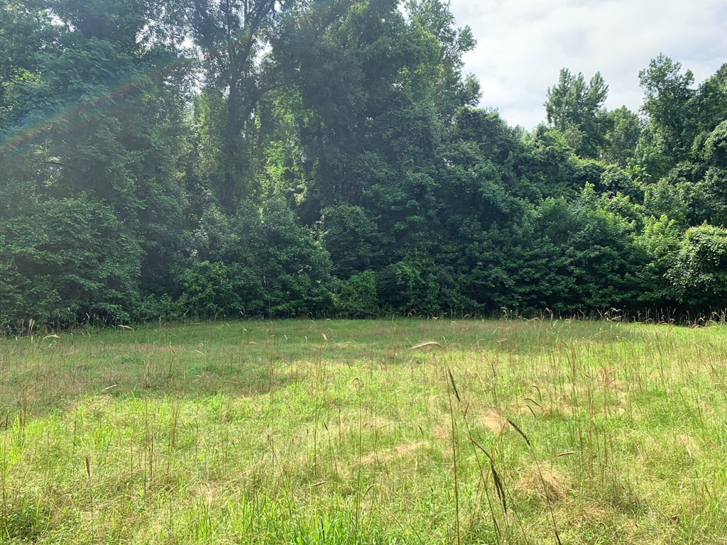 . Perry Town Road Crosby, MS 39633 - Photo 11 of 38 Photo 11