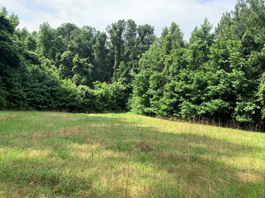 . Perry Town Road Crosby, MS 39633 - Photo 12 of 38 Photo 12