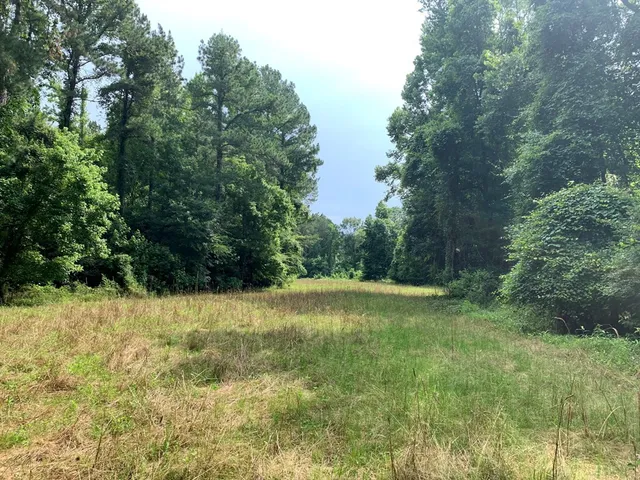 $3,098,269 | . Perry Town Road, Crosby, MS 39633