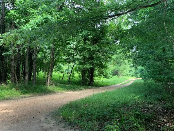 $3,098,269 | . Perry Town Road, Crosby, MS 39633