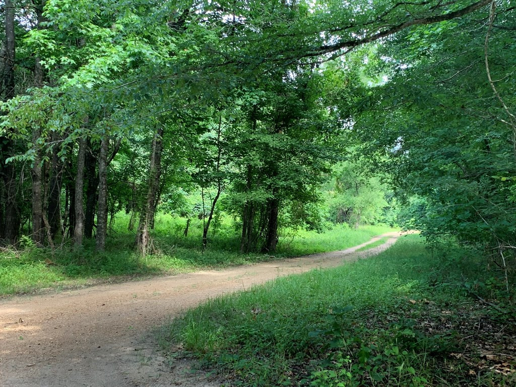 . Perry Town Road Crosby, MS 39633 - Photo 15 of 38 Photo 15