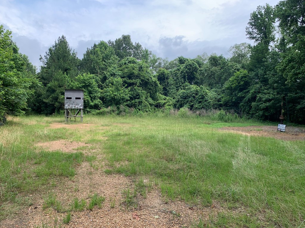 . Perry Town Road Crosby, MS 39633 - Photo 17 of 38 Photo 17