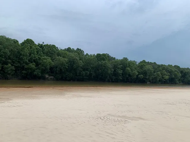 $3,098,269 | . Perry Town Road, Crosby, MS 39633