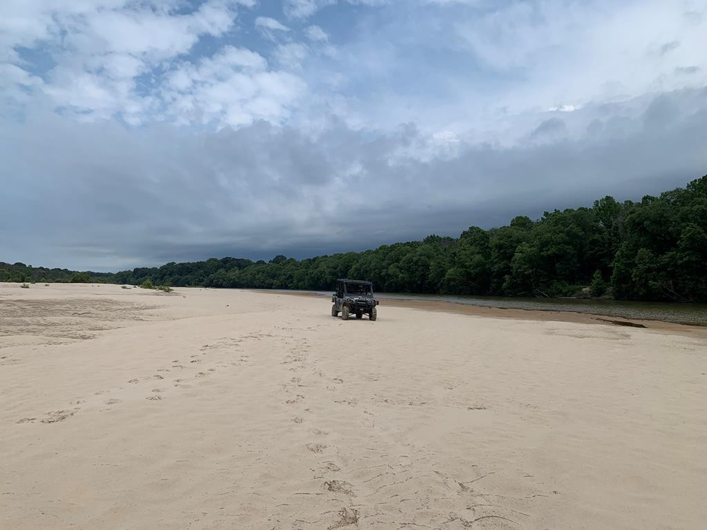 . Perry Town Road Crosby, MS 39633 - Photo 2 of 38 Photo 2