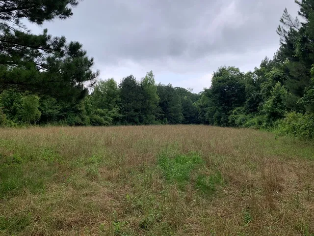 $3,098,269 | . Perry Town Road, Crosby, MS 39633