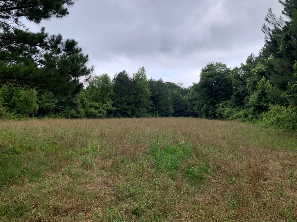 . Perry Town Road Crosby, MS 39633 - Photo 24 of 38 Photo 24