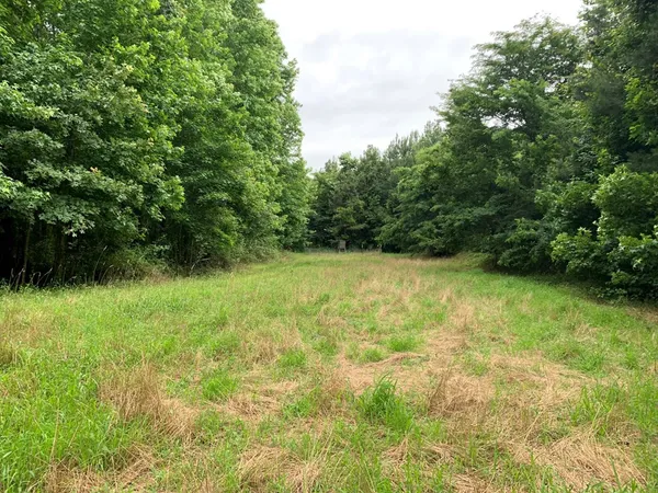 $3,098,269 | . Perry Town Road, Crosby, MS 39633