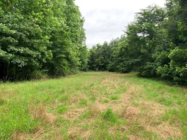 $3,098,269 | . Perry Town Road, Crosby, MS 39633