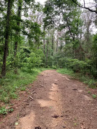 $3,098,269 | . Perry Town Road, Crosby, MS 39633