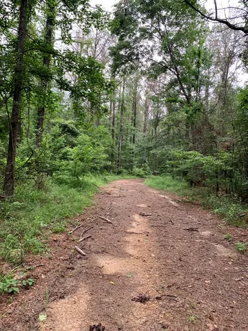 $3,098,269 | . Perry Town Road, Crosby, MS 39633