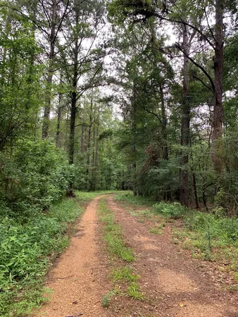 $3,098,269 | . Perry Town Road, Crosby, MS 39633