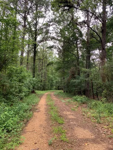 $3,098,269 | . Perry Town Road, Crosby, MS 39633