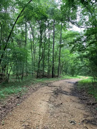 $3,098,269 | . Perry Town Road, Crosby, MS 39633