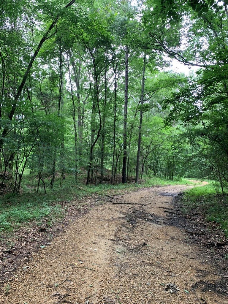 . Perry Town Road Crosby, MS 39633 - Photo 29 of 38 Photo 29