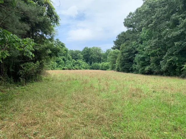 $3,098,269 | . Perry Town Road, Crosby, MS 39633