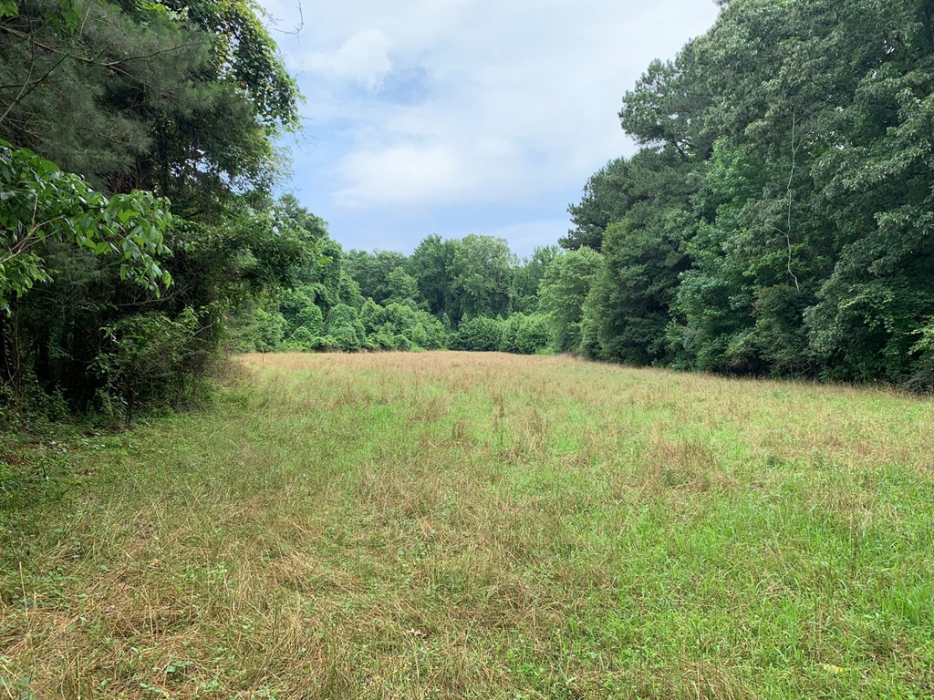 . Perry Town Road Crosby, MS 39633 - Photo 31 of 38 Photo 31