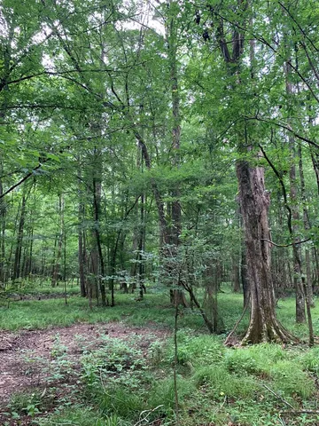 $3,098,269 | . Perry Town Road, Crosby, MS 39633