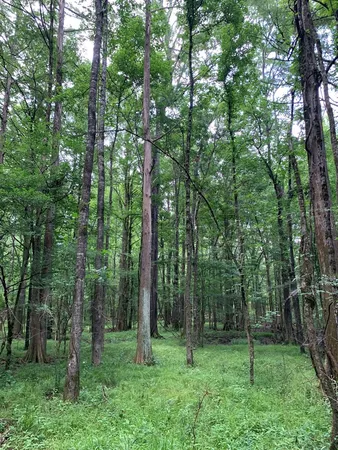 $3,098,269 | . Perry Town Road, Crosby, MS 39633