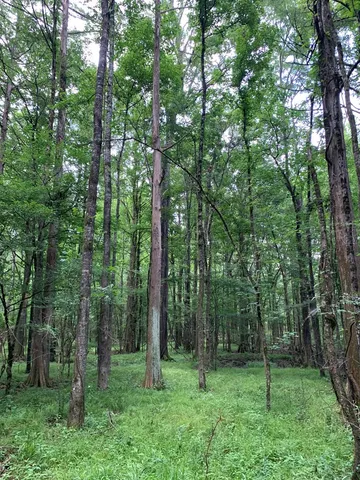 $3,098,269 | . Perry Town Road, Crosby, MS 39633