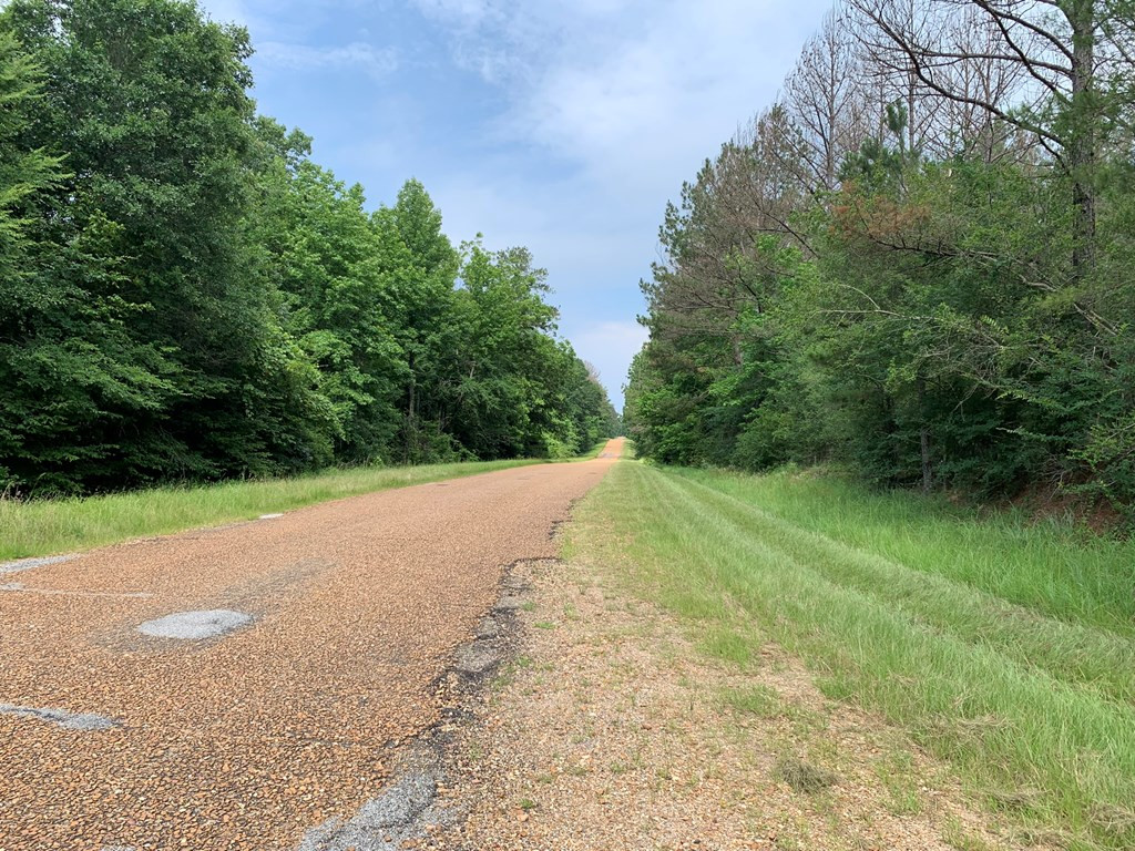 . Perry Town Road Crosby, MS 39633 - Photo 35 of 38 Photo 35