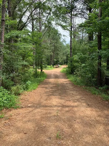 $3,098,269 | . Perry Town Road, Crosby, MS 39633