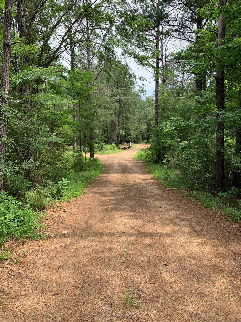 . Perry Town Road Crosby, MS 39633 - Photo 37 of 38 Photo 37