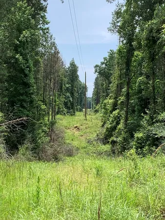 $3,098,269 | . Perry Town Road, Crosby, MS 39633