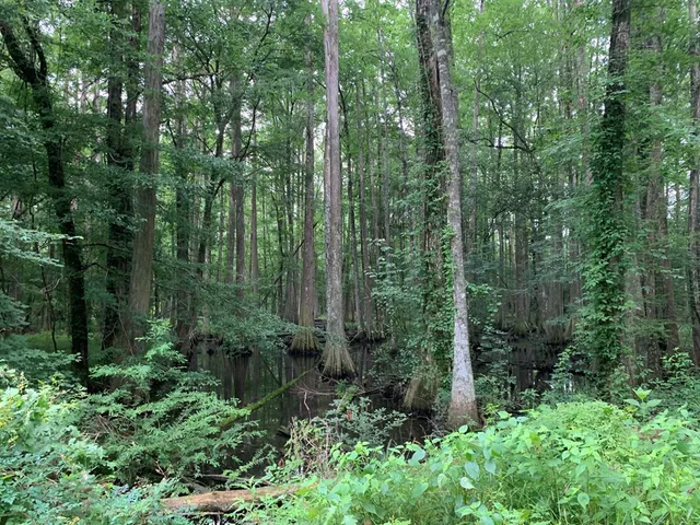 $3,098,269 | . Perry Town Road, Crosby, MS 39633