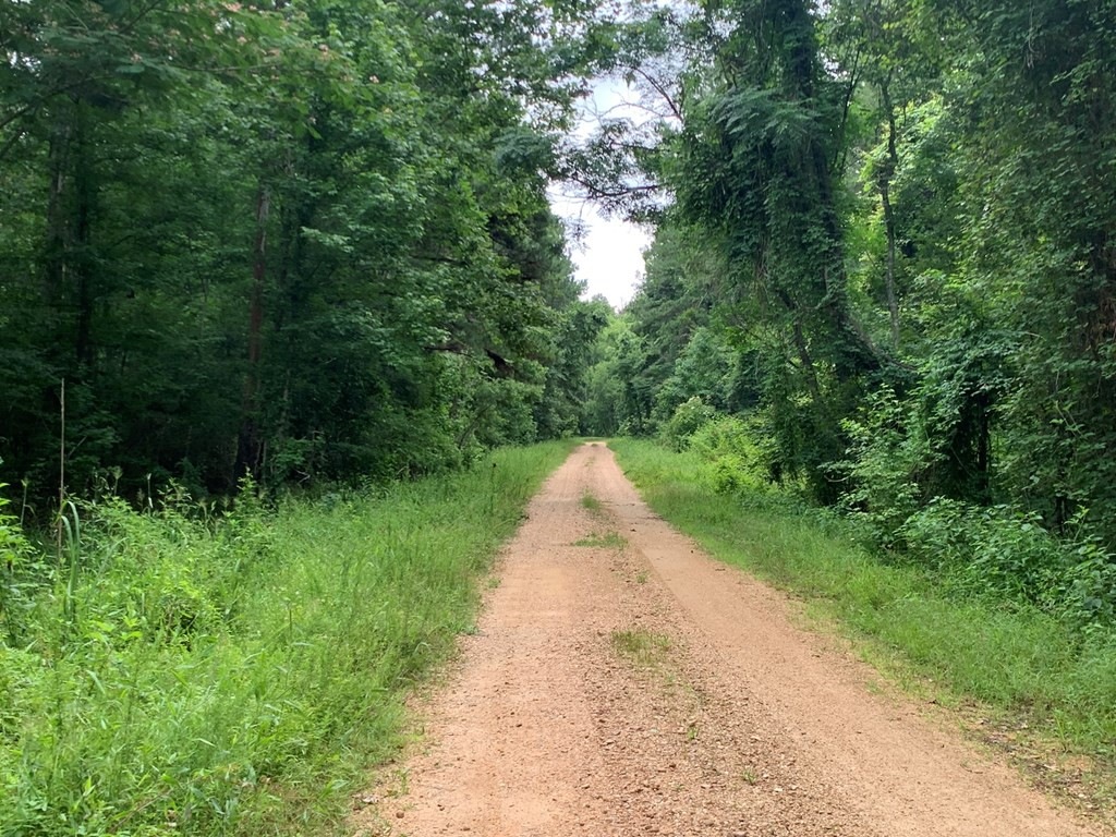 . Perry Town Road Crosby, MS 39633 - Photo 6 of 38 Photo 6