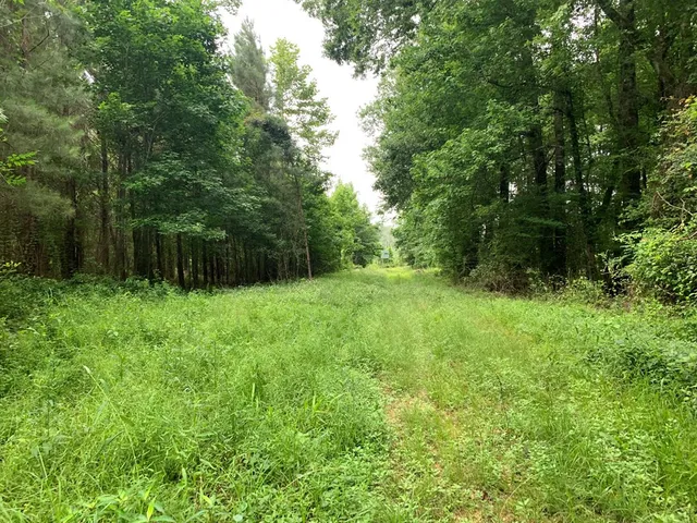 $3,098,269 | . Perry Town Road, Crosby, MS 39633