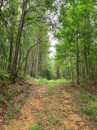 $3,098,269 | . Perry Town Road, Crosby, MS 39633