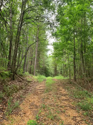 $3,098,269 | . Perry Town Road, Crosby, MS 39633