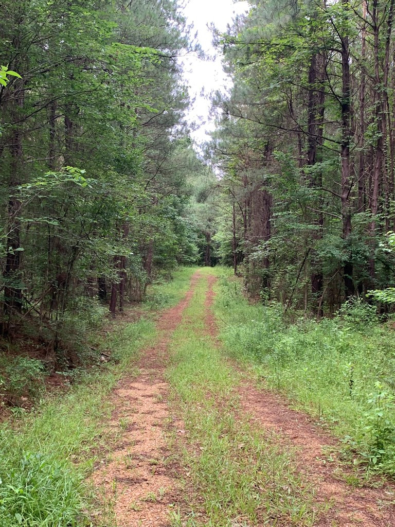 . Perry Town Road Crosby, MS 39633 - Photo 9 of 38 Photo 9