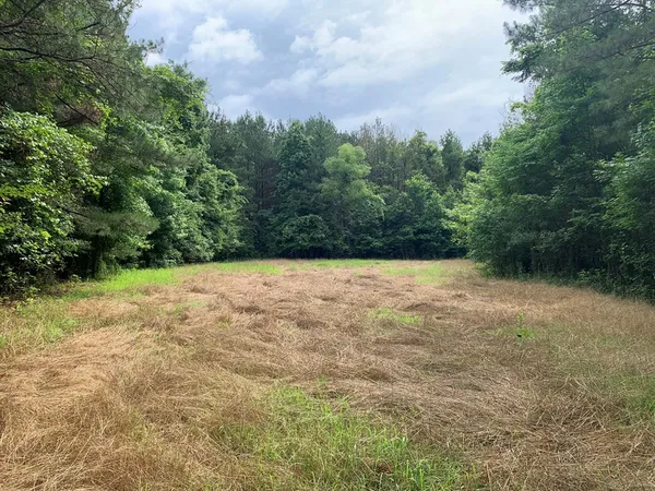 $3,098,269 | . Perry Town Road, Crosby, MS 39633