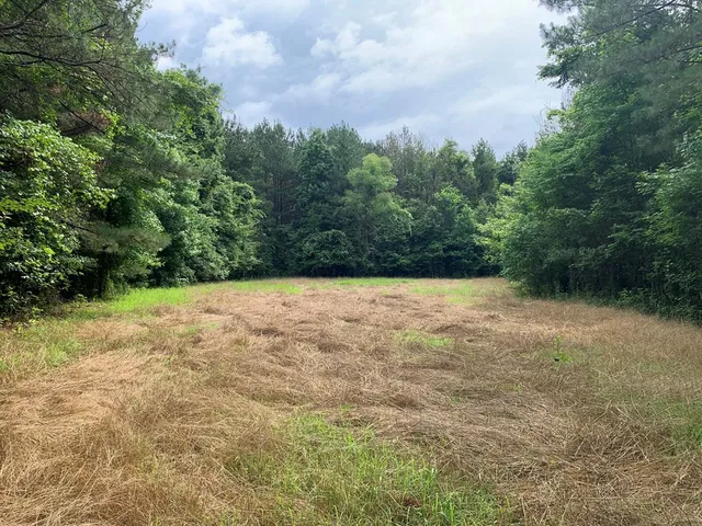 $3,098,269 | . Perry Town Road, Crosby, MS 39633