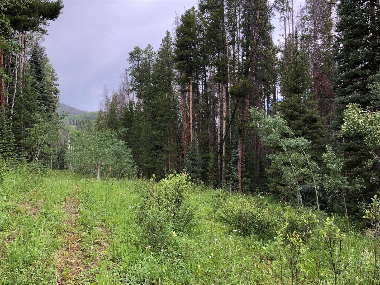 Tbd Tbd Springboard Trail Oak Creek, CO 80467 - Photo 1 of 11