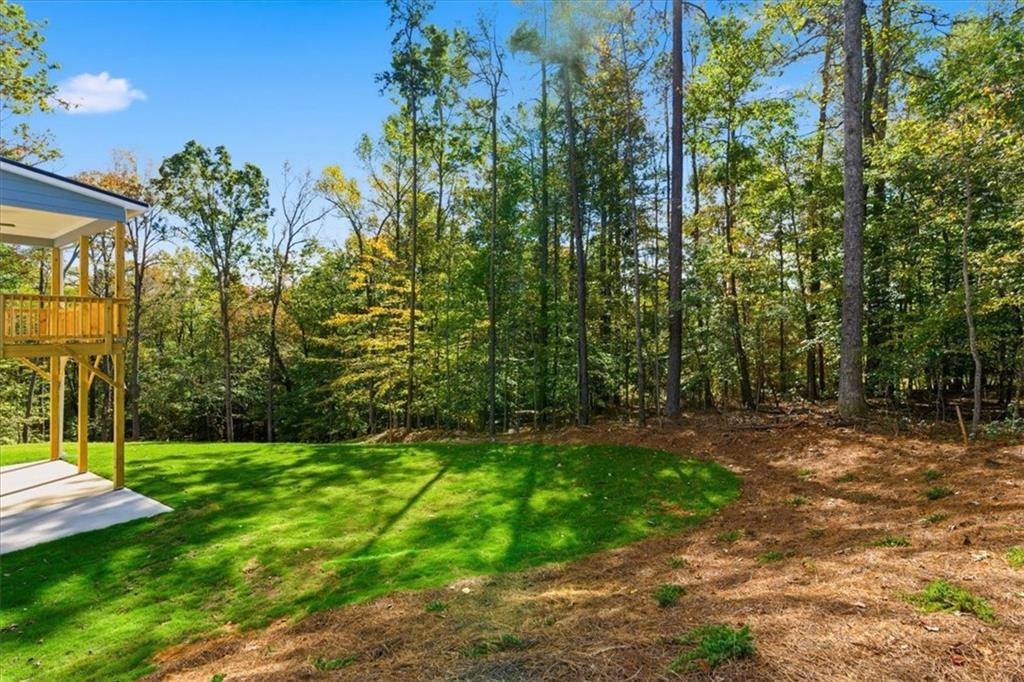 7791 Capps Ridge Lane Douglasville, GA 30135 - Photo 47 of 50