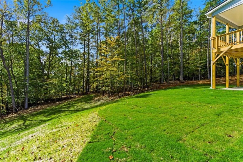 7791 Capps Ridge Lane Douglasville, GA 30135 - Photo 48 of 50