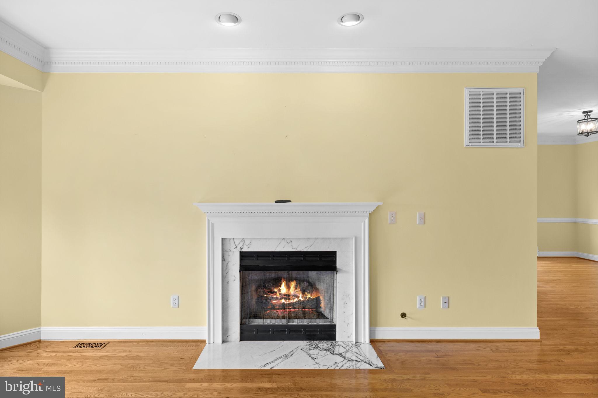 621 Country Club Road Culpeper, VA 22701 - Photo 17 of 45 Cozy fireplace in a warm setting.