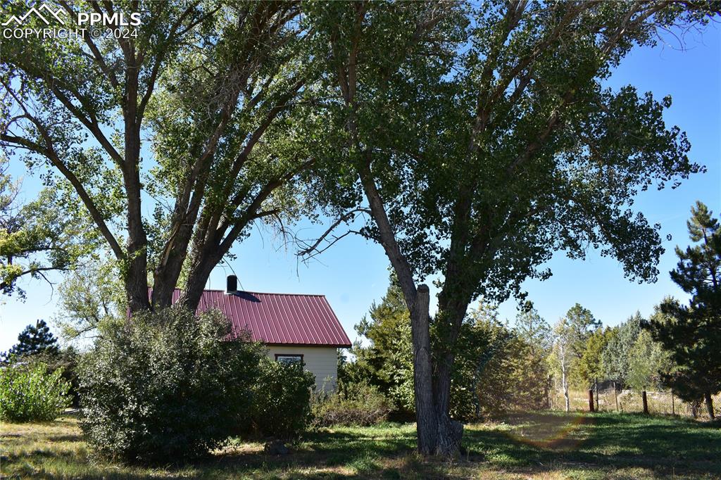 20490 Lemesany Road Calhan, CO 80808 - Photo 17 of 31 a view of a red and white tree in a yard