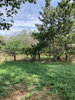 20490 Lemesany Road Calhan, CO 80808 - Photo 20 of 31 a view of a field of a building