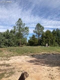 20490 Lemesany Road Calhan, CO 80808 - Photo 24 of 31 a view of a yard