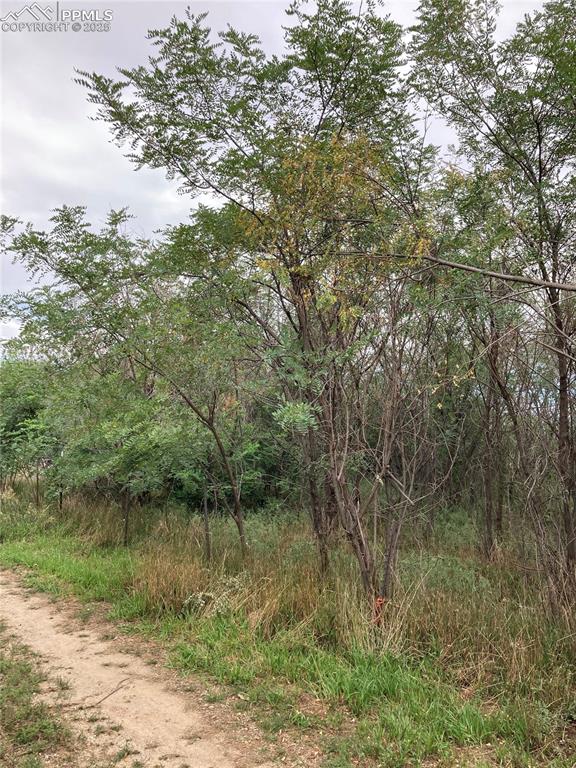 20490 Lemesany Road Calhan, CO 80808 - Photo 26 of 31 a view of a lake with a tree