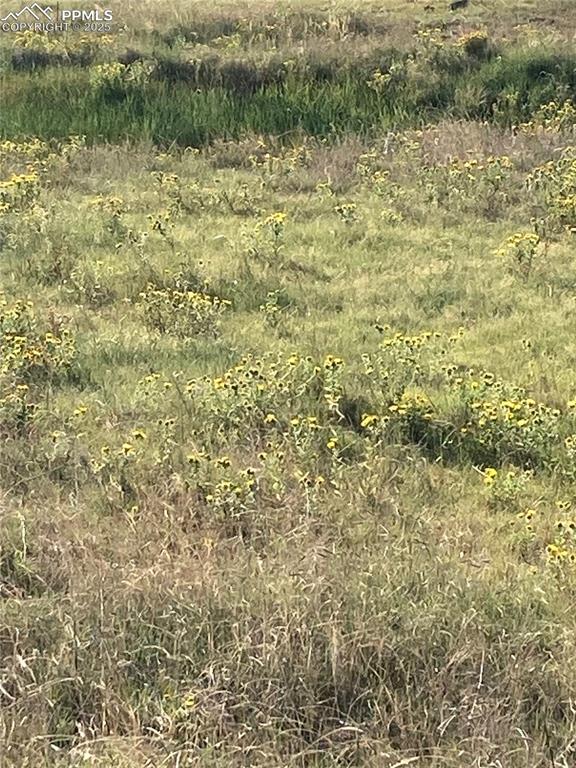 20490 Lemesany Road Calhan, CO 80808 - Photo 27 of 31 a view of a lake view
